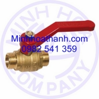 Brass spring check valve, male/ Female
